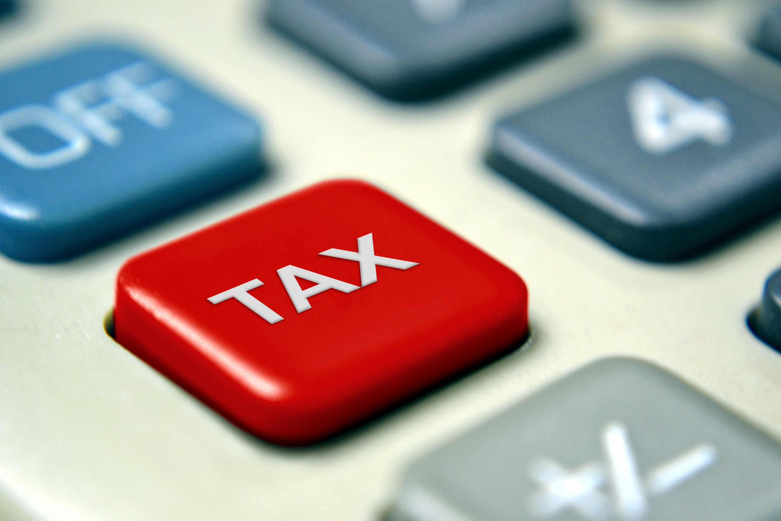 tax return